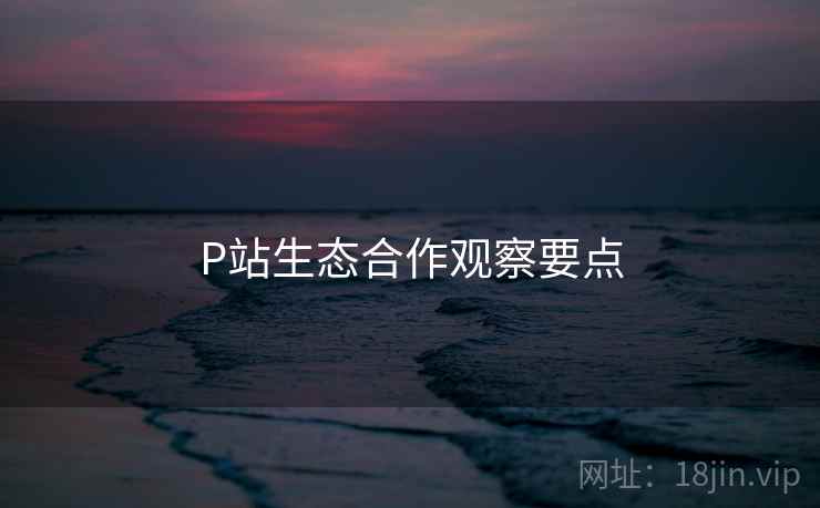 P站生态合作观察要点  第1张