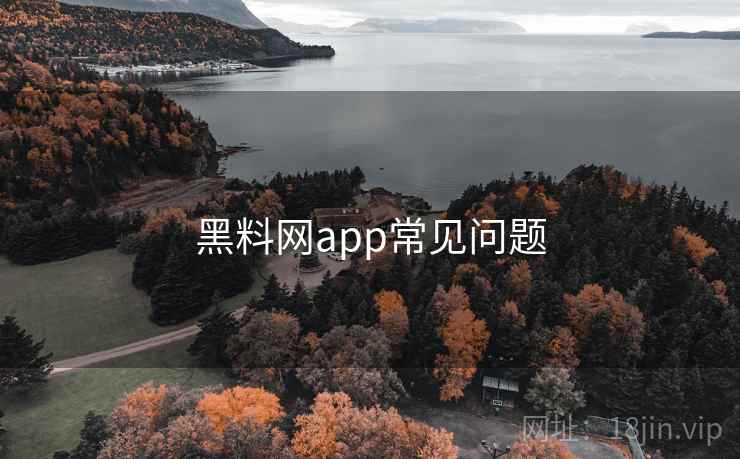 黑料网app常见问题  第1张