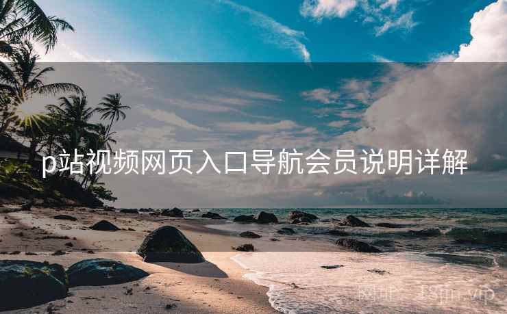 p站视频网页入口导航会员说明详解  第2张
