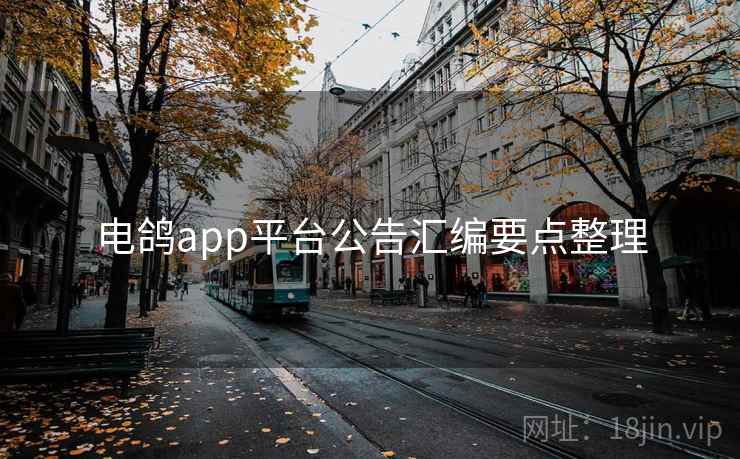 电鸽app平台公告汇编要点整理  第2张