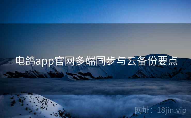 电鸽app官网多端同步与云备份要点  第2张