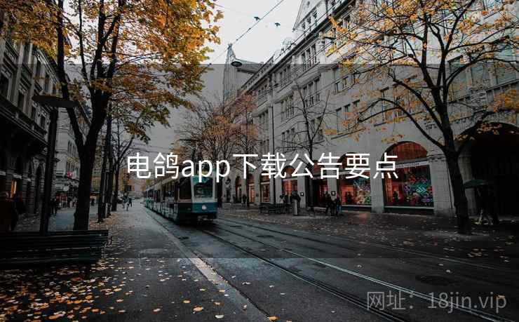 电鸽app下载公告要点 第1张 电鸽app下载公告要点 第1张