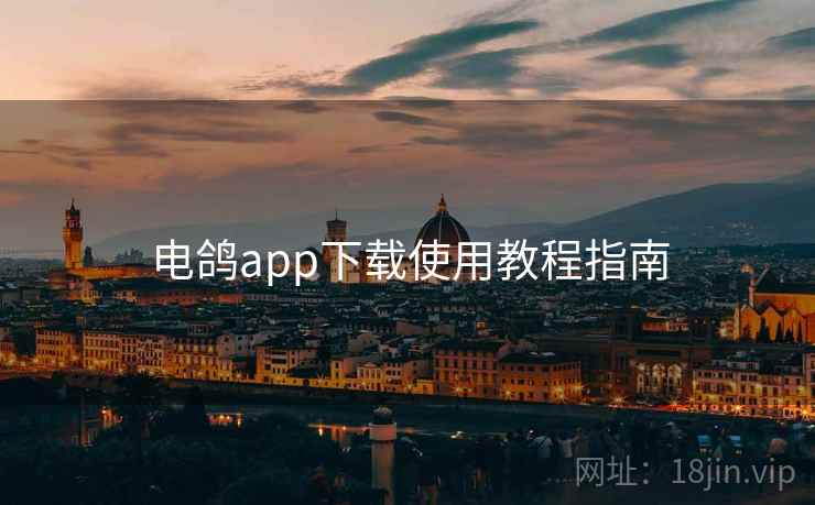 电鸽app下载使用教程指南 第1张 电鸽app下载使用教程指南 第1张